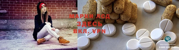 индика Балахна