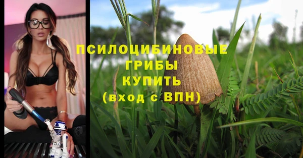 молекула духа Надым