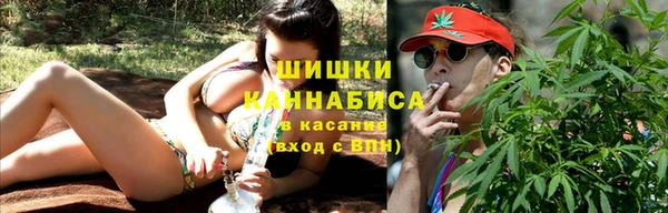 индика Балахна